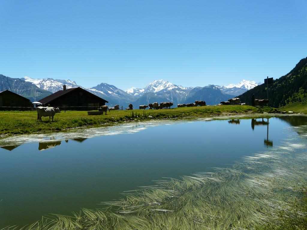 Chalet Enzian Riederalp Exteriör bild