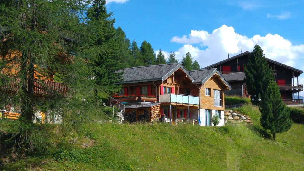 Chalet Enzian Riederalp Exteriör bild