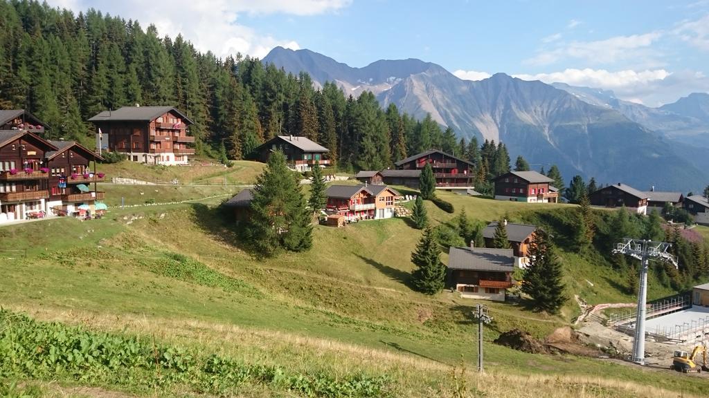 Chalet Enzian Riederalp Exteriör bild