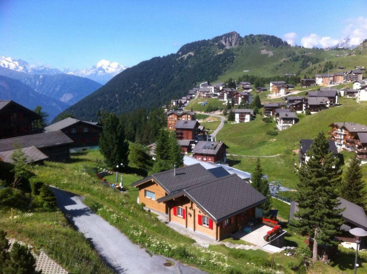 Chalet Enzian Riederalp Exteriör bild